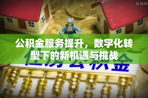 泾源公积金服务提升，数字化转型下的新机遇与挑战