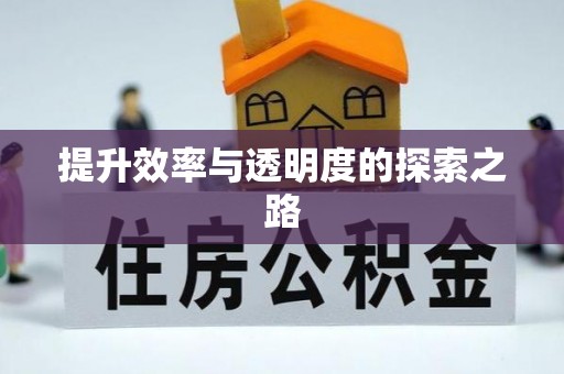 泾源提升效率与透明度的探索之路